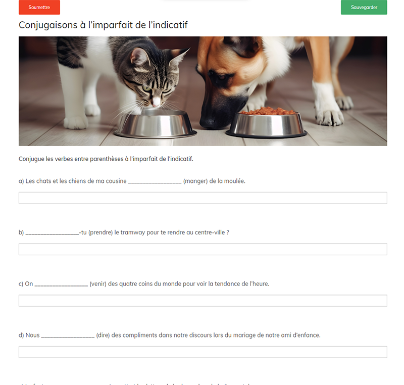 À la conquête des verbes D